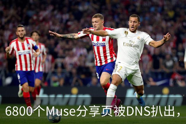6800个Muse分享页被DNS扒出，Meta紧急暂停